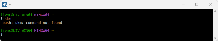 Error Example